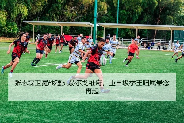 张志磊卫冕战硬抗赫尔戈维奇，重量级拳王归属悬念再起